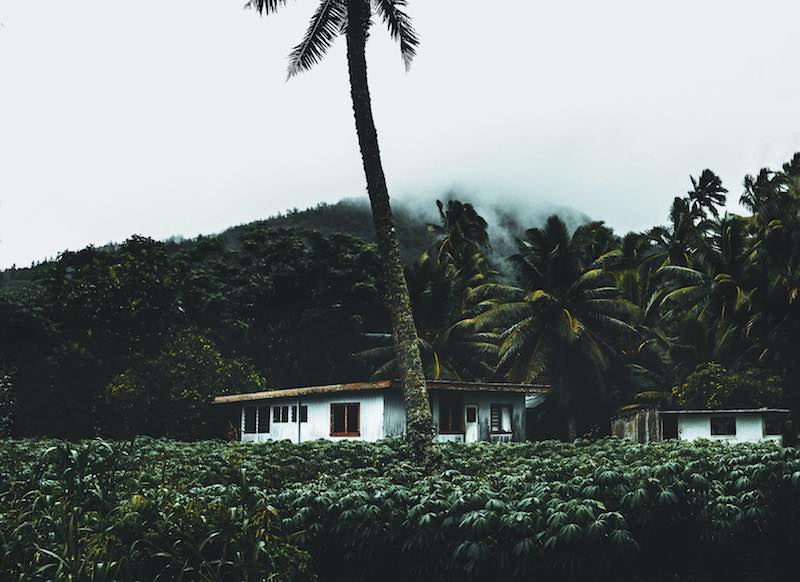 estate planning with cook islands trust